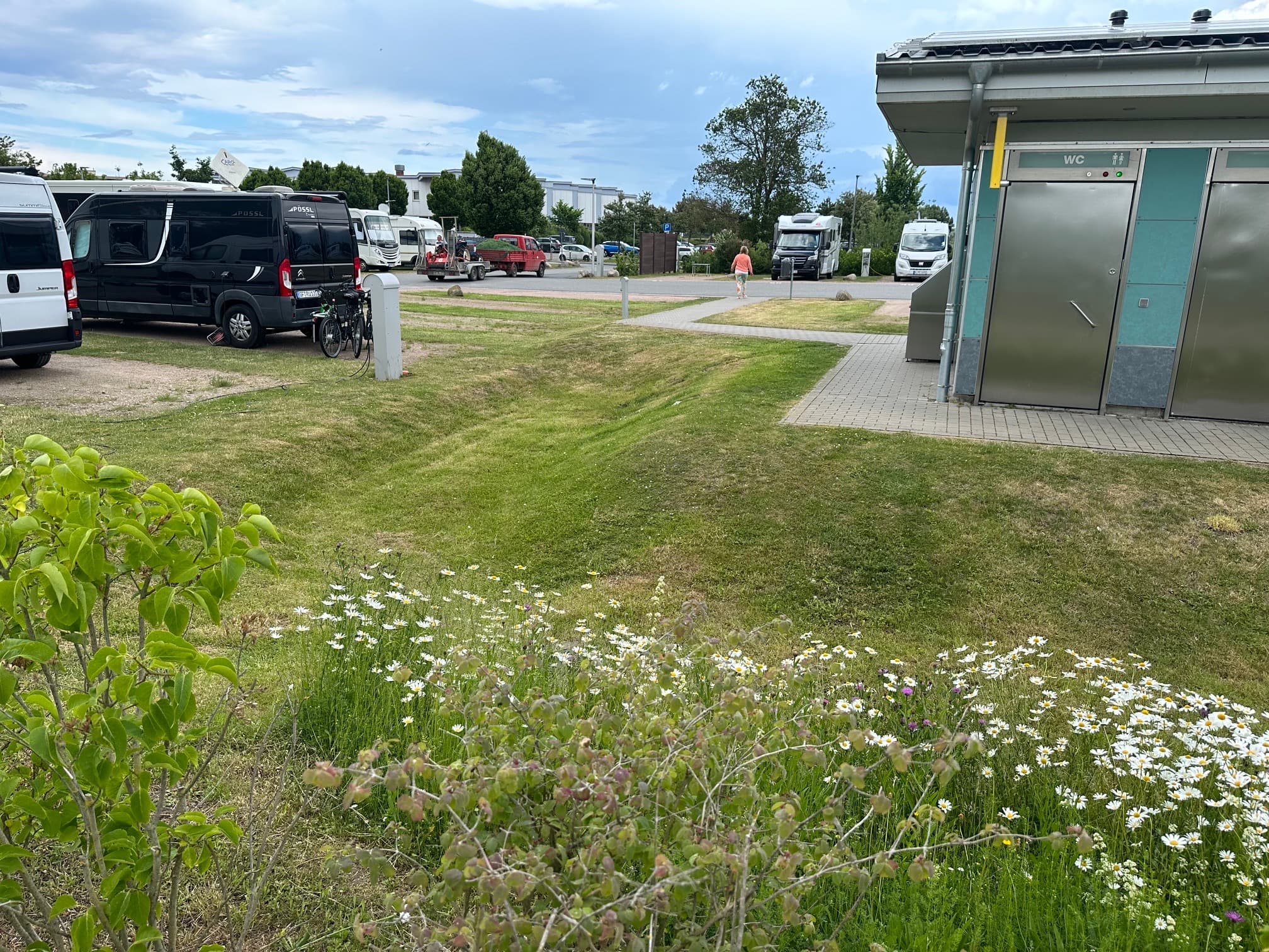 Sanitetsbyggnad med blommande sommaräng
